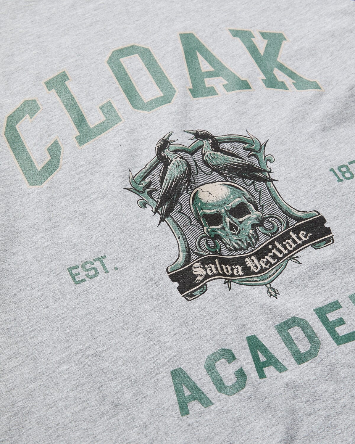 ACADEMY RAGLAN GREY/BURGUNDY TEE DARK ACADEMIA 