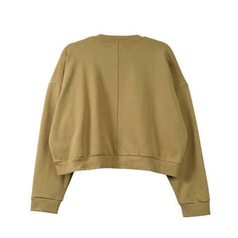 Campbell Cropped Sweatshirt